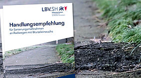Handlungsempfehlung gegen Wurzelaufbrüche auf Radwegen vorgestellt
