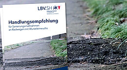 Handlungsempfehlung gegen Wurzelaufbrüche auf Radwegen vorgestellt